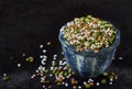 Mix of dried legumes and cereals Royalty Free Stock Photo