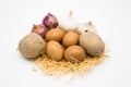 Mix of egg potato onion and garlic on the nest with white background