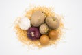 Mix of egg potato onion and garlic on the nest with white background