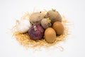 Mix of egg potato onion and garlic on the nest with white background