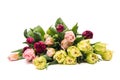 Mix of elegant double tulips close up on white background. Spring tulips. Tulips bouquet. Royalty Free Stock Photo