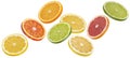 Mix of falling orange, grapefruit, lime and lemon slices isolated on white background Royalty Free Stock Photo