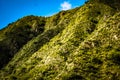 Hill in fertile valley of flora, vegetation in different shades of green.