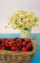 Mix of fresh berries in a basket on rustic wooden background Royalty Free Stock Photo