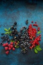 Mix of fresh berries with leaves on textured metal background Royalty Free Stock Photo