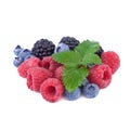 Mix of fresh berry Royalty Free Stock Photo