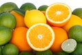 Mix of fresh citrus fruits Royalty Free Stock Photo