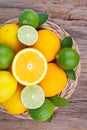 Mix of fresh citrus fruits in basket on wood Royalty Free Stock Photo