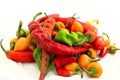 Mix of fresh colorful hot chili peppers