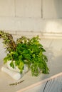 Mix Fresh Green Herbs. Thyme, Rosemary, Dill and Parsley in the mortar on white background. Royalty Free Stock Photo