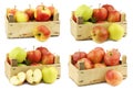 Mix of fresh red, green and yellow apples in a wooden crate Royalty Free Stock Photo