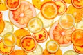 Mix of fresh transparent citrus fruits on white