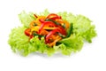 Mix of fresh vegetables from a colored paprika Royalty Free Stock Photo