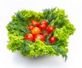 Mix of fresh vegetables - dill, tomatoes and green salad leaves. White background, isolated