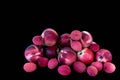 Mix fruit: fresh red peaches, nectarine and lychee on black background Royalty Free Stock Photo