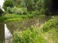 Mix of green as part of a river Royalty Free Stock Photo