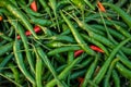Mix Green Chilli organic farm on tray, thailand market