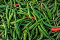 Mix Green Chilli organic farm on tray, thailand market