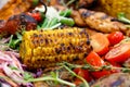 The mix of grilled meat and vegetables. Plate of mixed meat