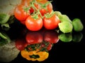 Mix of healthy Organic Vegetable Composition Royalty Free Stock Photo