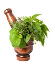 Mix herbs Royalty Free Stock Photo