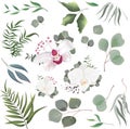 Mix of herbs and plants vector collection. Juicy eucalyptus, deadwood, green plants and leaves. All elements are