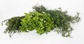 Mix Herbs Royalty Free Stock Photo