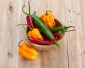 Mix of hottest peppers in wooden plate on table. Royalty Free Stock Photo