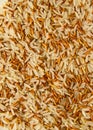 Mix Jasmin organice rice and Brown rice Royalty Free Stock Photo