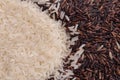Mix of jusmin rice and riceberry rice. Royalty Free Stock Photo