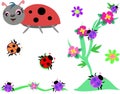 Mix of Ladybugs and Plants