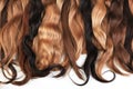 Mix of natural extensions hair: blond, red, brown. Strands of ha Royalty Free Stock Photo