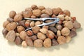 Mix nut Royalty Free Stock Photo
