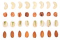 Mix nuts almonds, cashews hazelnuts pistachios isolated on white background. Top view. Flat lay Royalty Free Stock Photo