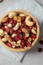 Mix of nuts cashews, almonds, hazelnuts with dried cranberries. Royalty Free Stock Photo