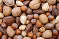 Mix of nuts in shell Royalty Free Stock Photo