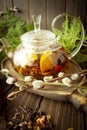 Mix of organic bio herbal tea, spring time Royalty Free Stock Photo