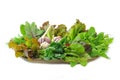 Mix organic salad leaves and garlic