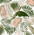 Mix palm leaf tree background Royalty Free Stock Photo