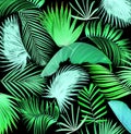 Mix palm leaf tree background Royalty Free Stock Photo