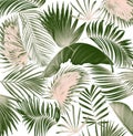 Mix palm leaf tree background Royalty Free Stock Photo