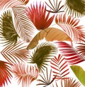 Mix palm leaf tree background Royalty Free Stock Photo