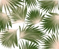 Mix palm leaf tree background Royalty Free Stock Photo