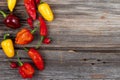 Mix pepper variety harvest on a wood table Royalty Free Stock Photo