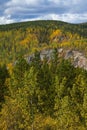 Mix of pine trees and autumn colors north of Liard Hot Springs, BC