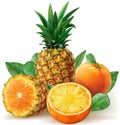 Mix of pineapple with orange fruits