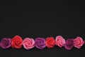 Raw Mix of pink and Peach Fake Plastic Mini rosess Flowers Black Background copy space. Craft, Art, Hobby concept. Royalty Free Stock Photo