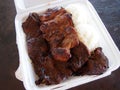 MIX PLATE - BBQ Kalbi, Boneless Chicken