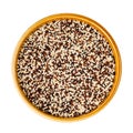 Mix of quinoa seeds in round ceramic bowl cutout Royalty Free Stock Photo