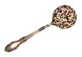 Mix of quinoa seeds in tablespoon cutout